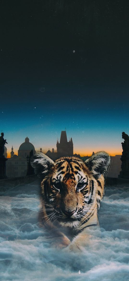 tiger cub, photoshop, clouds, night