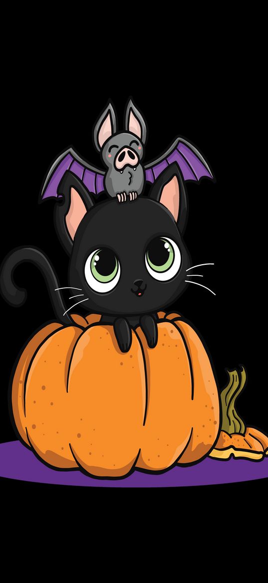 halloween, pumpkin, kitten, bat, autumn