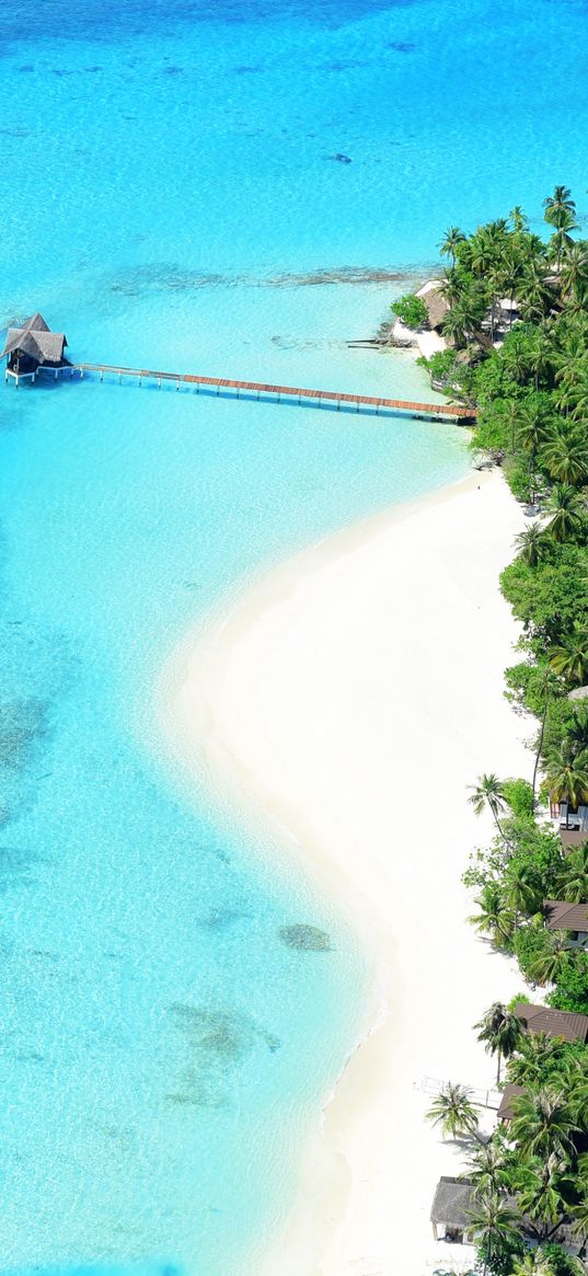 ocean, top view, palm trees, paradise, rest, tropics