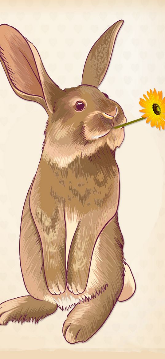 hare, flower, art, rabbit, cute