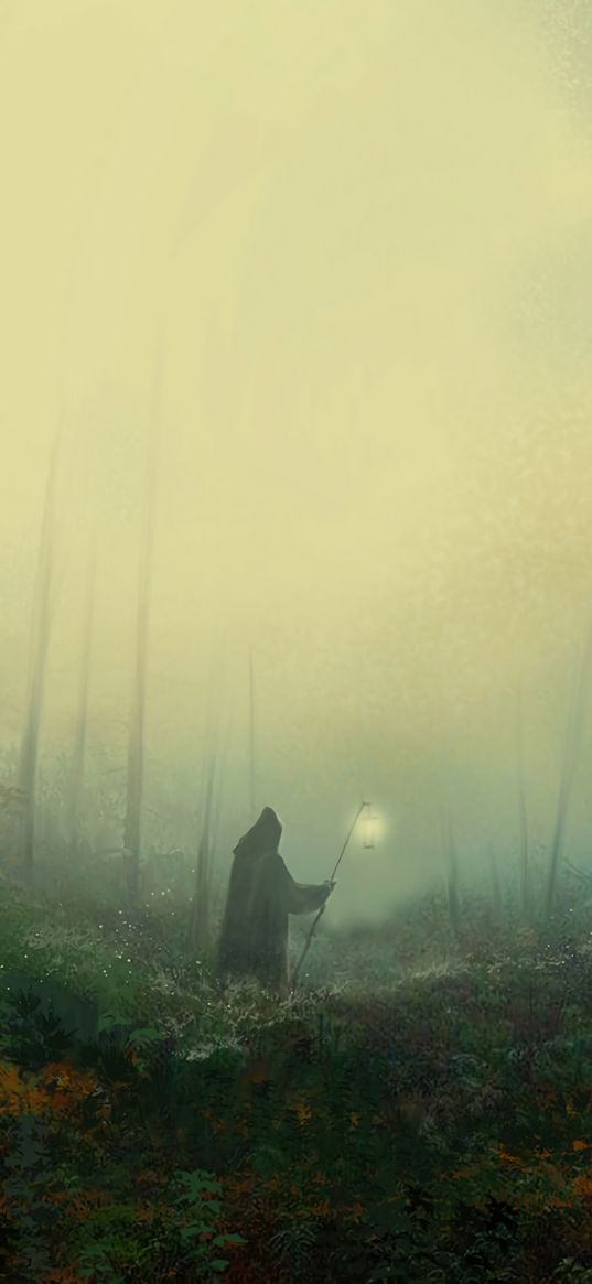 mantle, wanderer, fog, lantern, forest, art