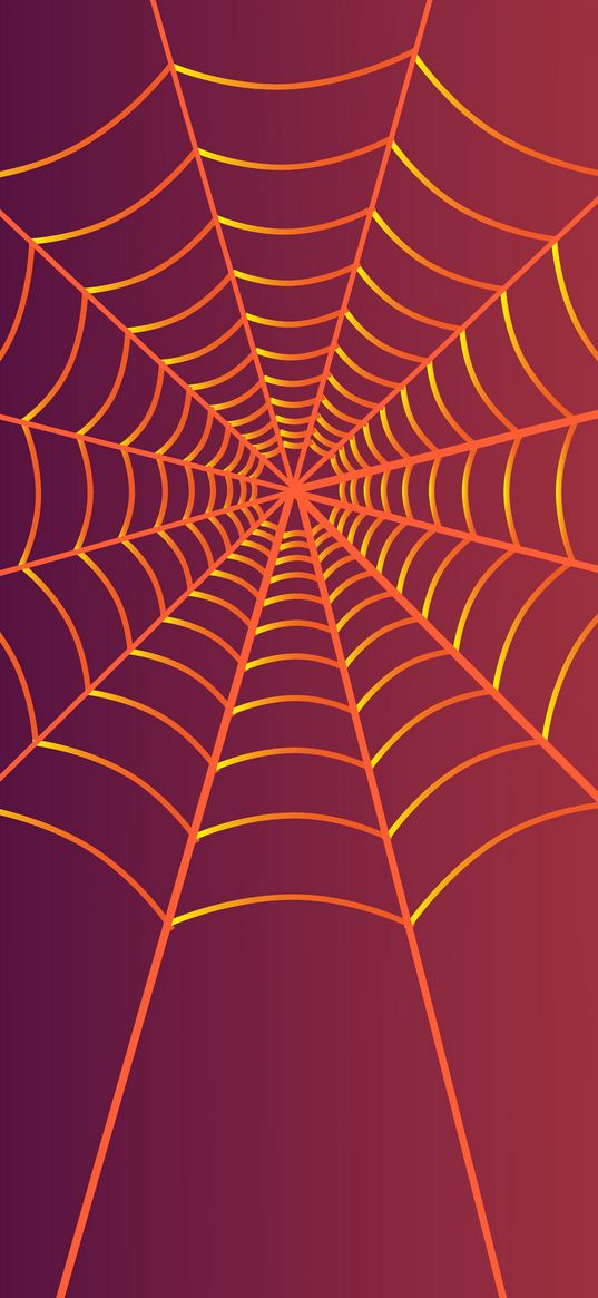 cobweb, art, lines, plexus