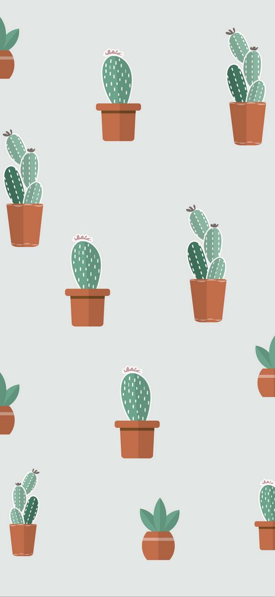 cacti, succulents, art, patterns