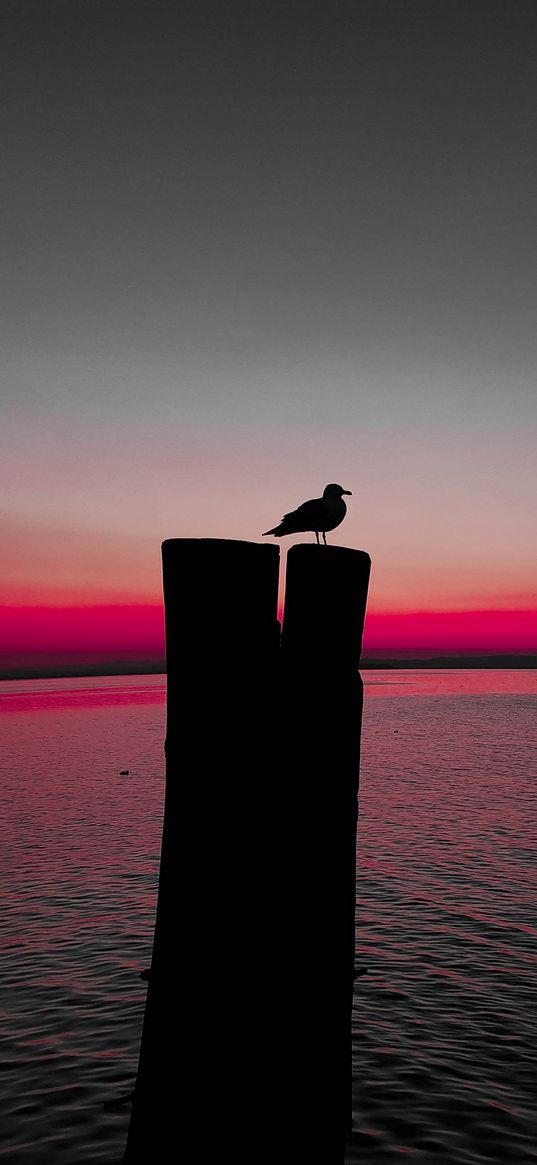 bird, silhouette, pillar, seagull, horizon, sea