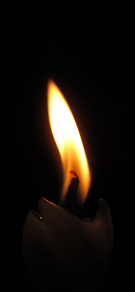 candle, wick, fire, dark, wax, flame