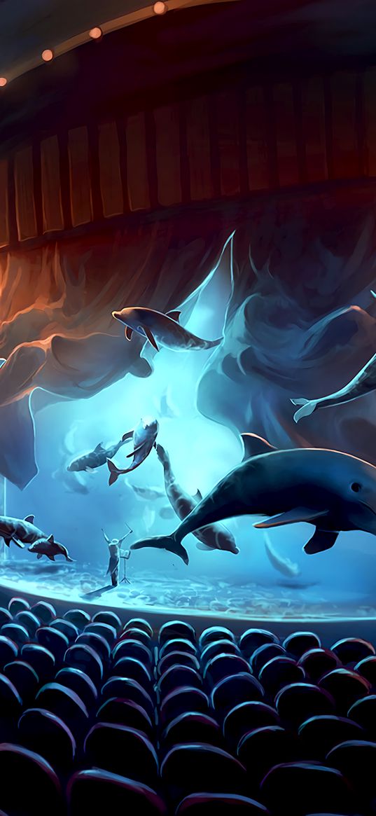 dolphins, concert, surrealism, musician