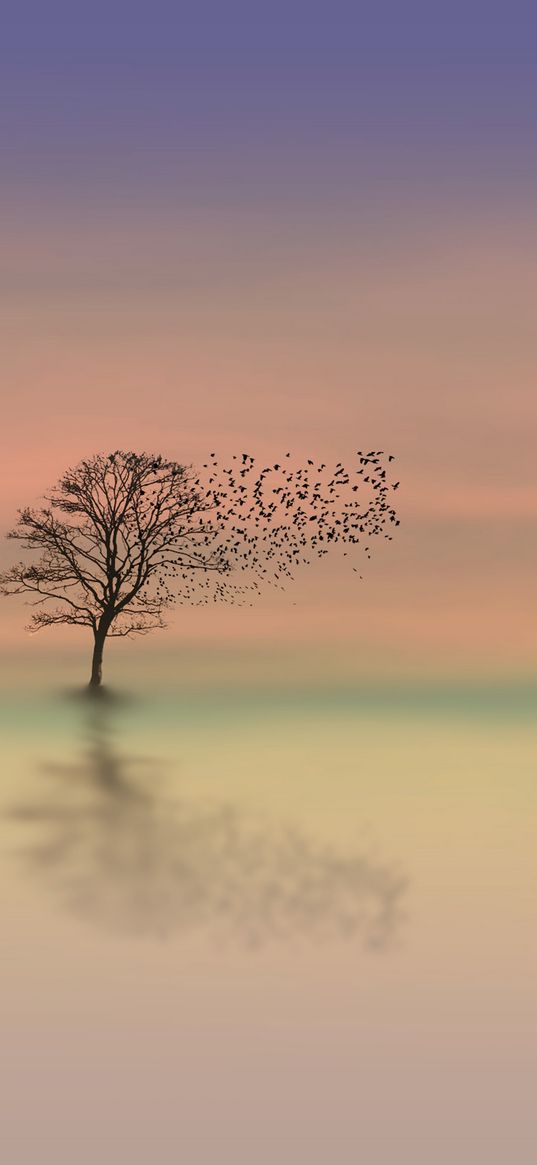 tree, dawn, lonely, horizon, minimalism