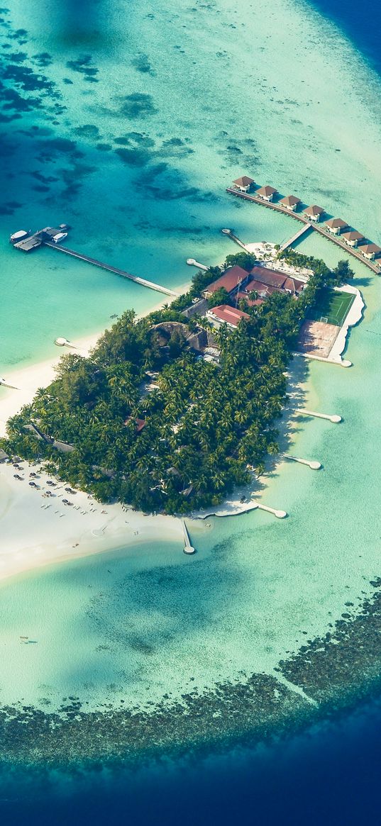 island, ocean, bungalow, palm trees, top view, tropics, paradise