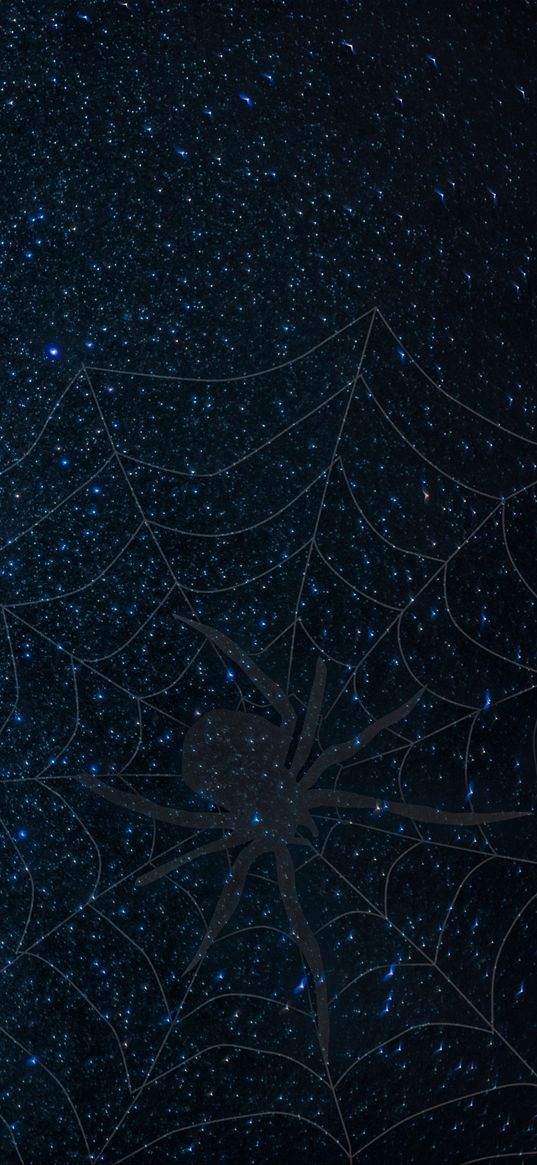 cobweb, spider, starry sky, shine