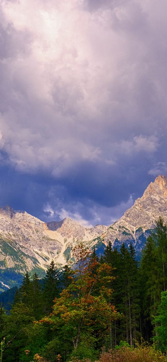 mountains, trees, clouds, mountain landscape, autumn, autumn landscape