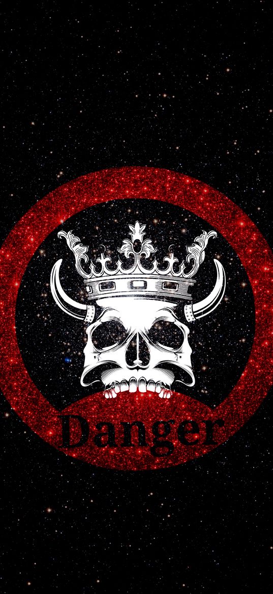 skull, crown, danger, inscription, shine