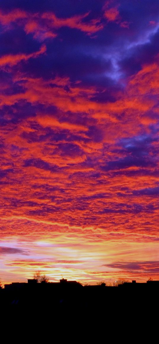 clouds, sunset, horizon, sky, porous