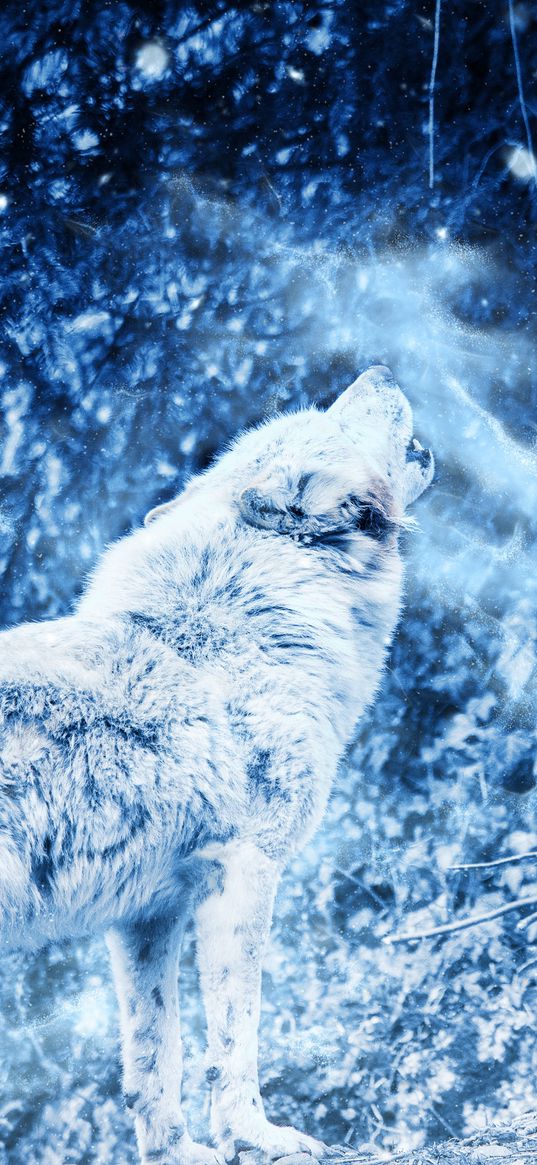 wolf, howl, predator, fog, loneliness