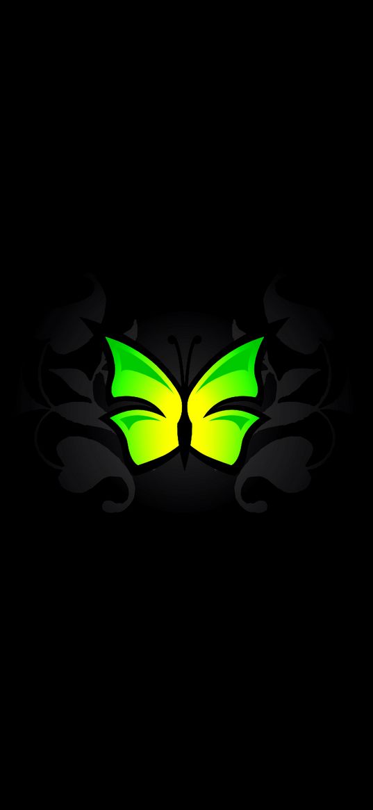 butterfly, patterns, light green, vector