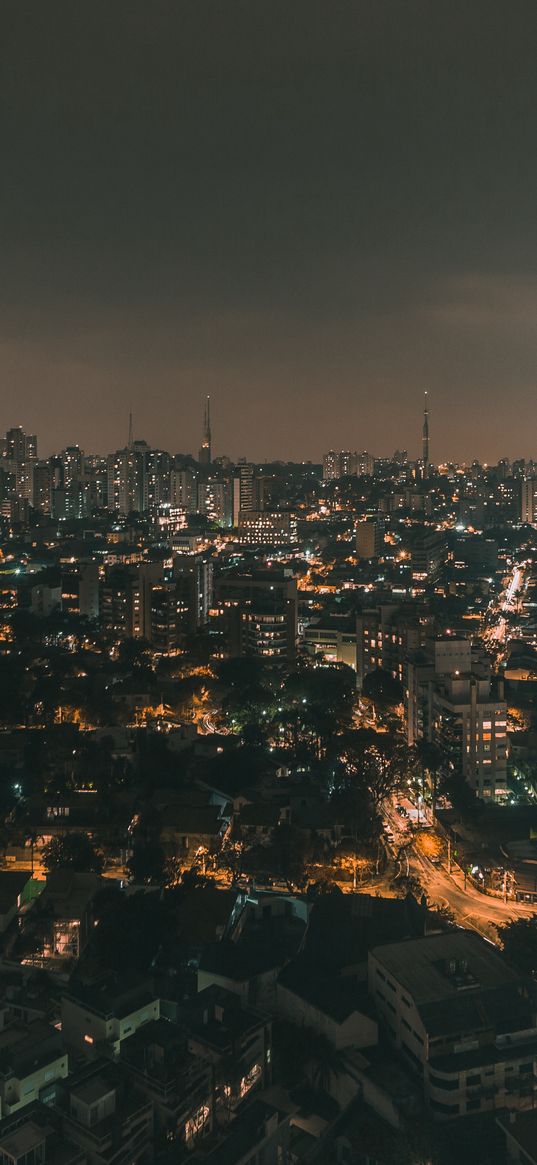 night city, aerial view, city lights, buildings, skyline, panorama