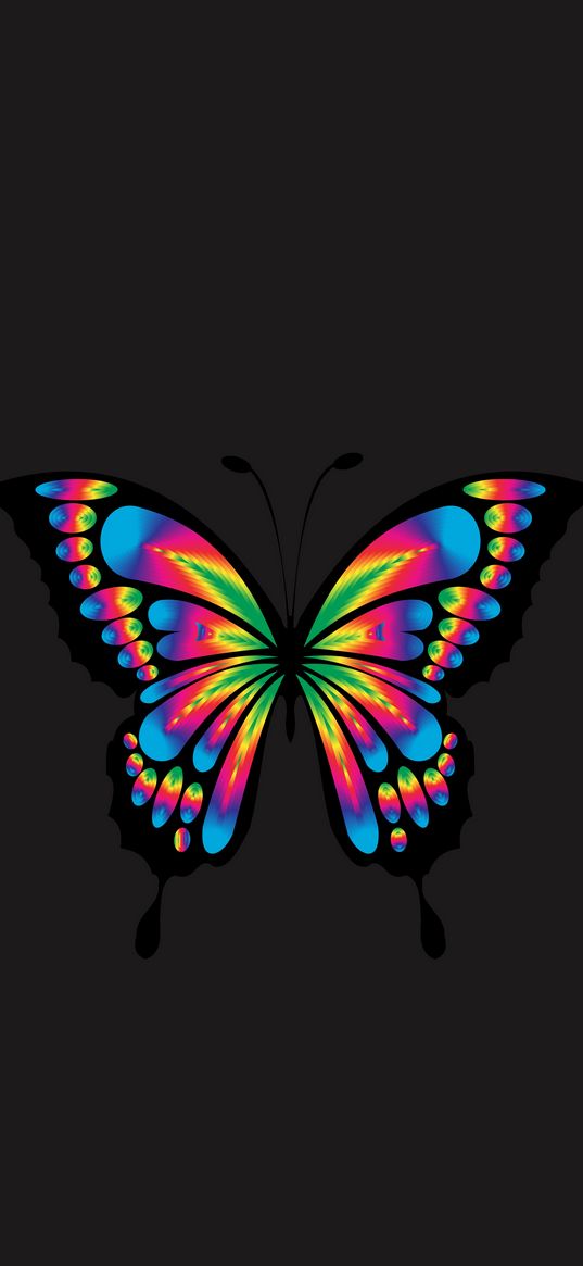 butterfly, shine, bright, multicolored, chromatic, prismatic