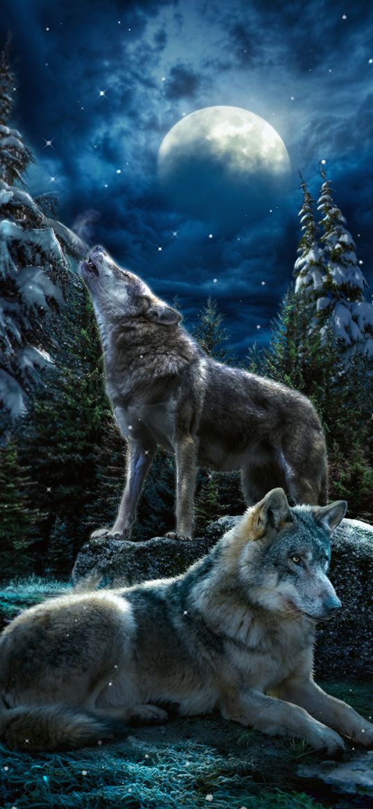 wolves, howl, wildlife, predators, art