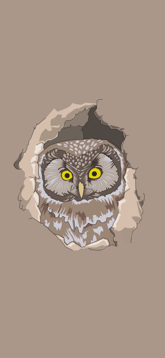 owl, spy out, vector, art