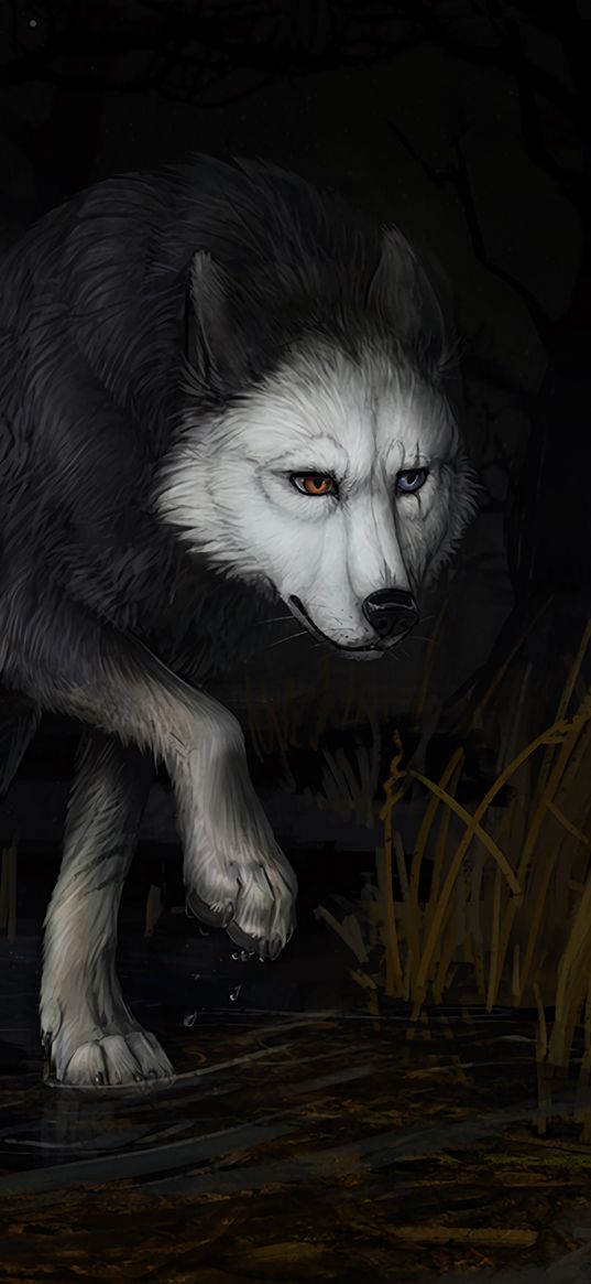 wolf, water, darkness, art