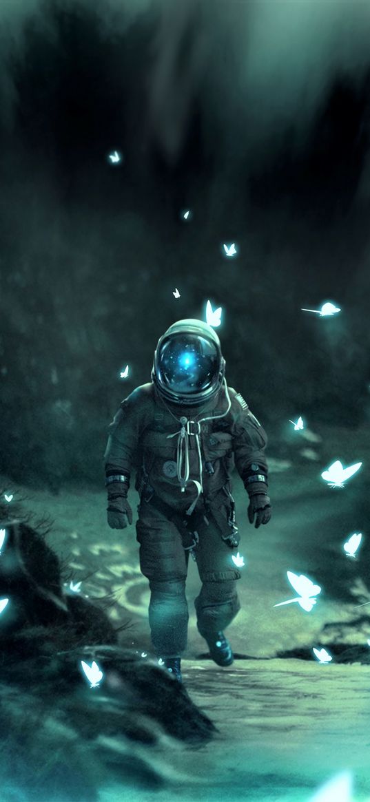 astronaut, spacesuit, moths, space