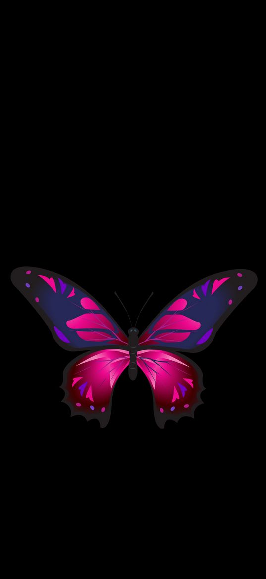 butterfly, patterns, wings, dark background