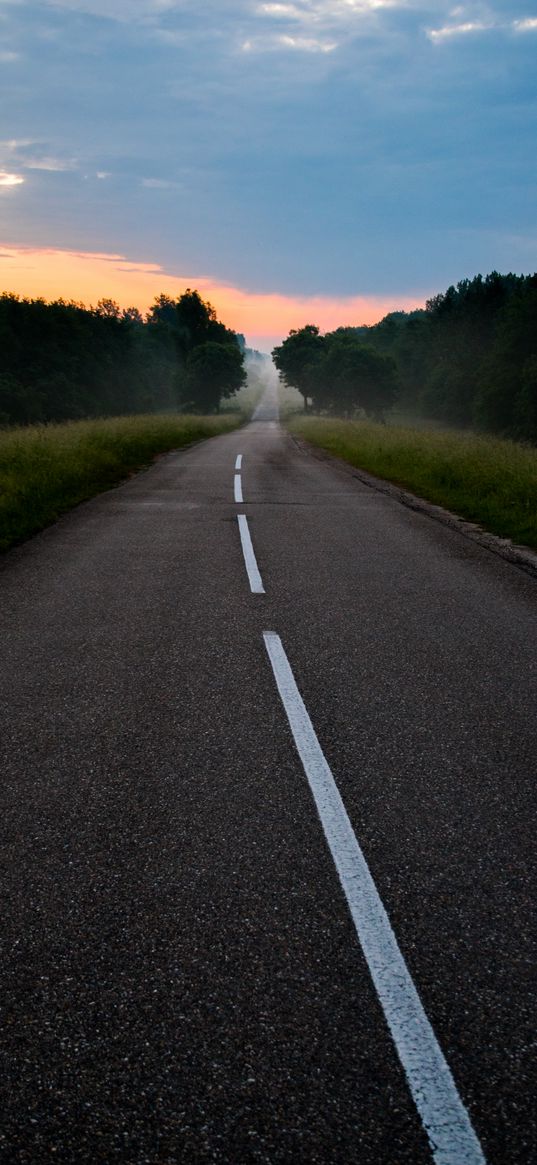 road, markings, fog, dawn