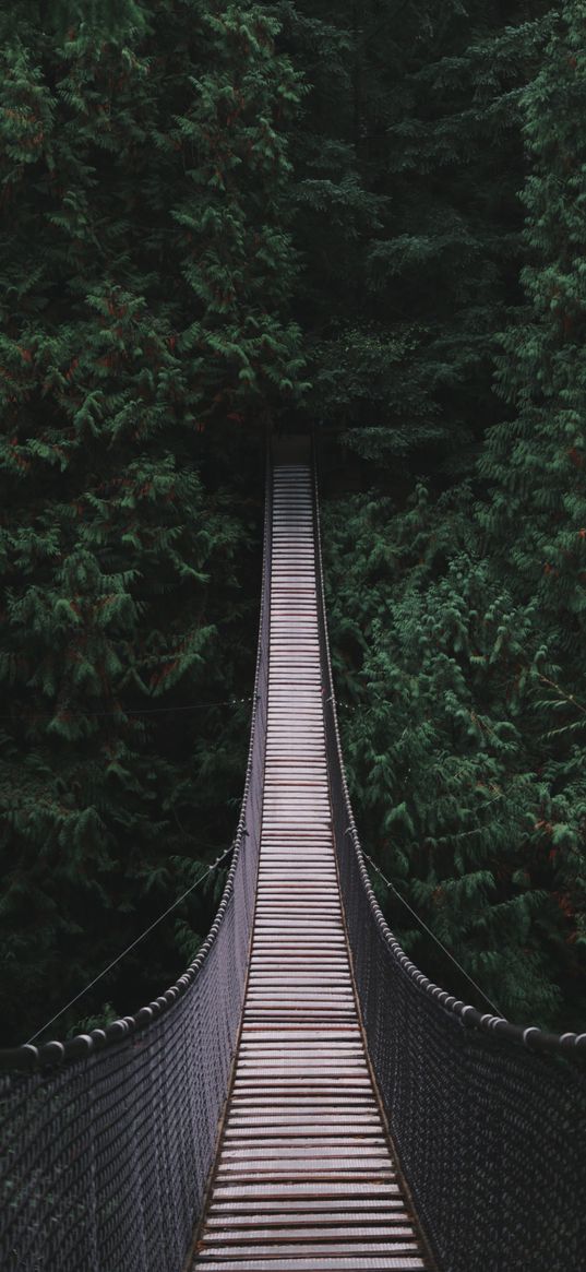 bridge, suspension, forest, wooden, trees, canyon lynn, canada