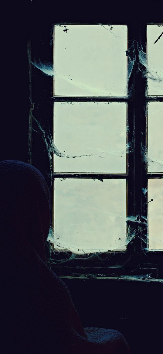 window, cobweb, loneliness, abandoned, alone, hopelessness