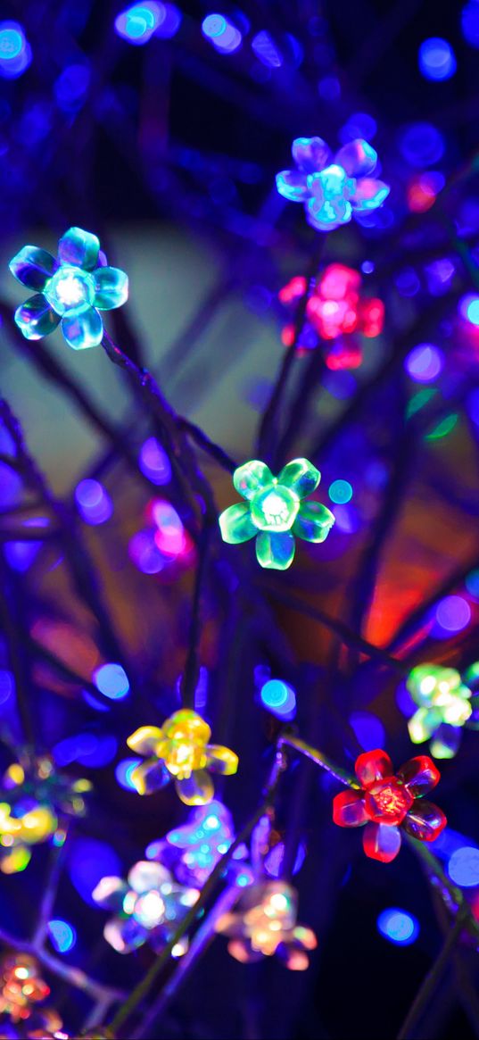 bulbs, flowers, neon, light, lighting, glare, bokeh, colorful