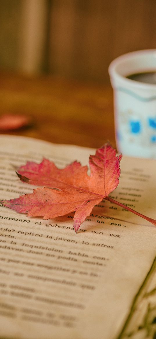 book, leaves, cup, autumn, comfort, reading, coffee