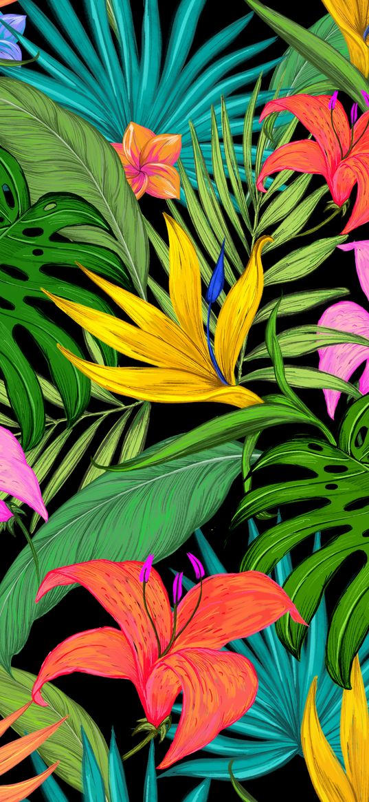 pattern, tropical, flowers, leaves, lilies, palm leaves, colored