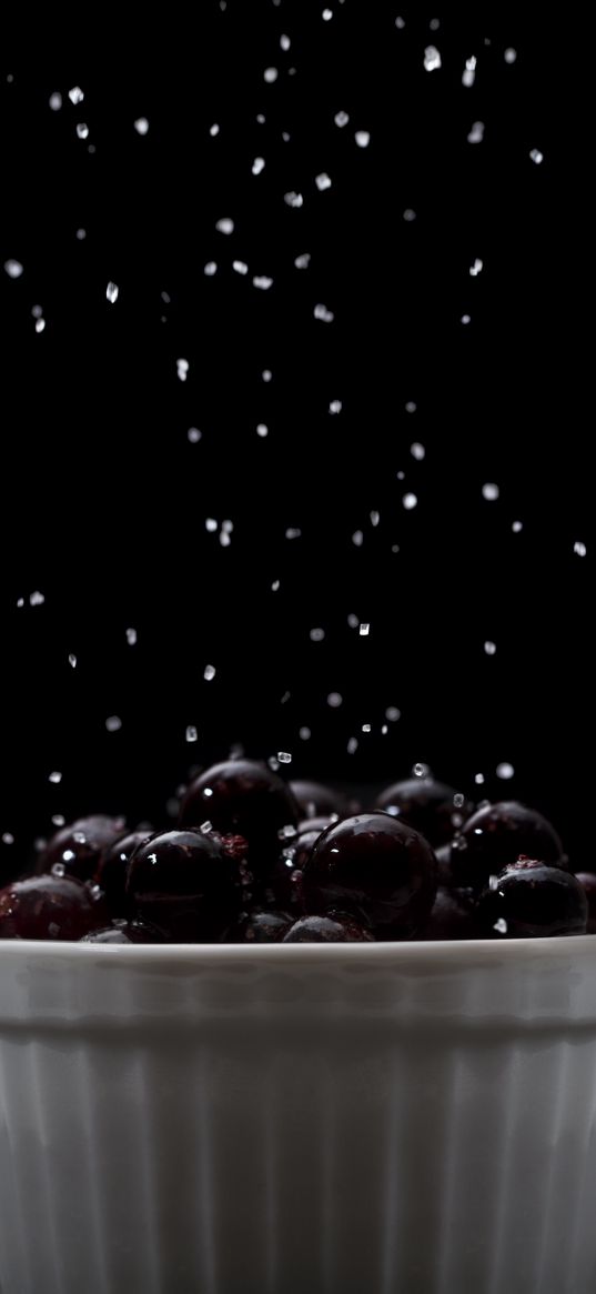 currant, sugar, macro, sweet, black, berries, dark background