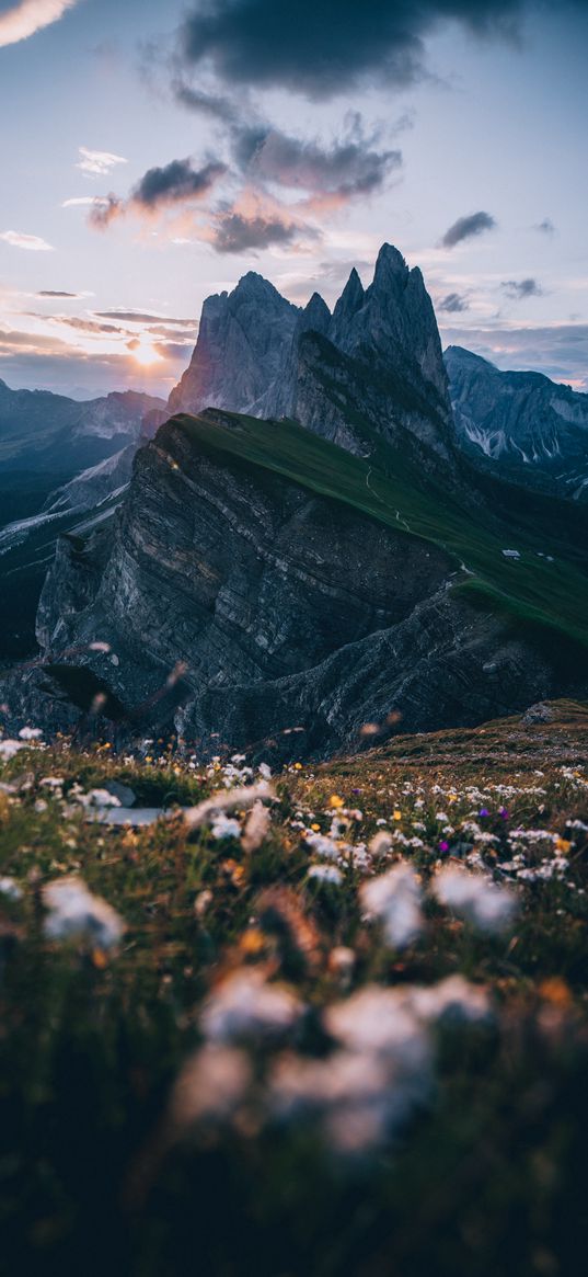 mountains, alps, peaks, lawn, sky, landscape