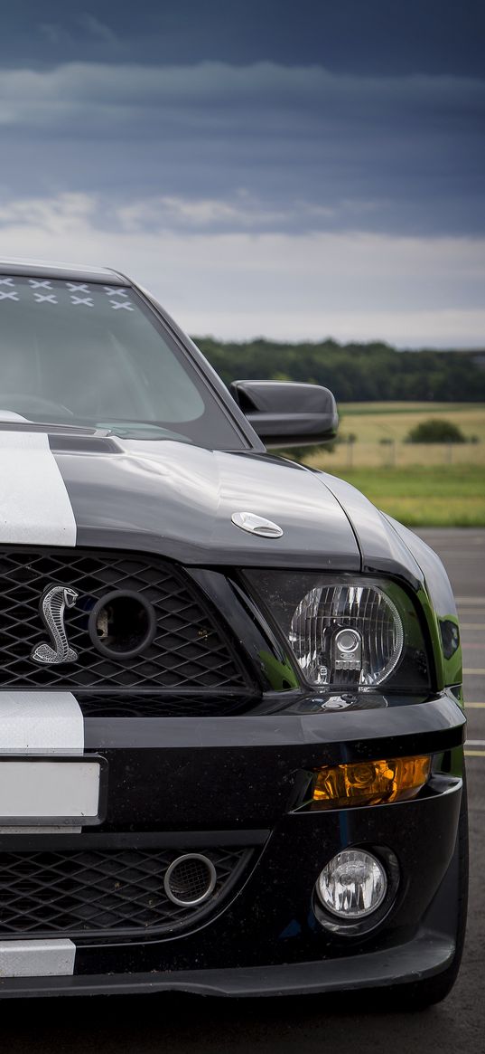 ford mustang, shelby, car, sports, front view