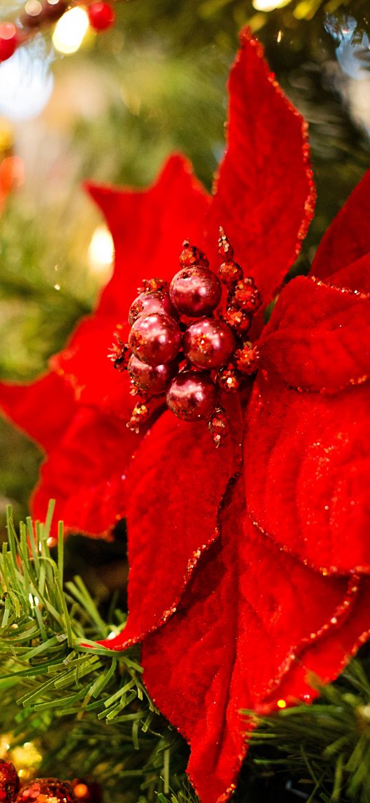 poinsettia, flower, decoration, leaves, tree, red, christmas, new year, festive