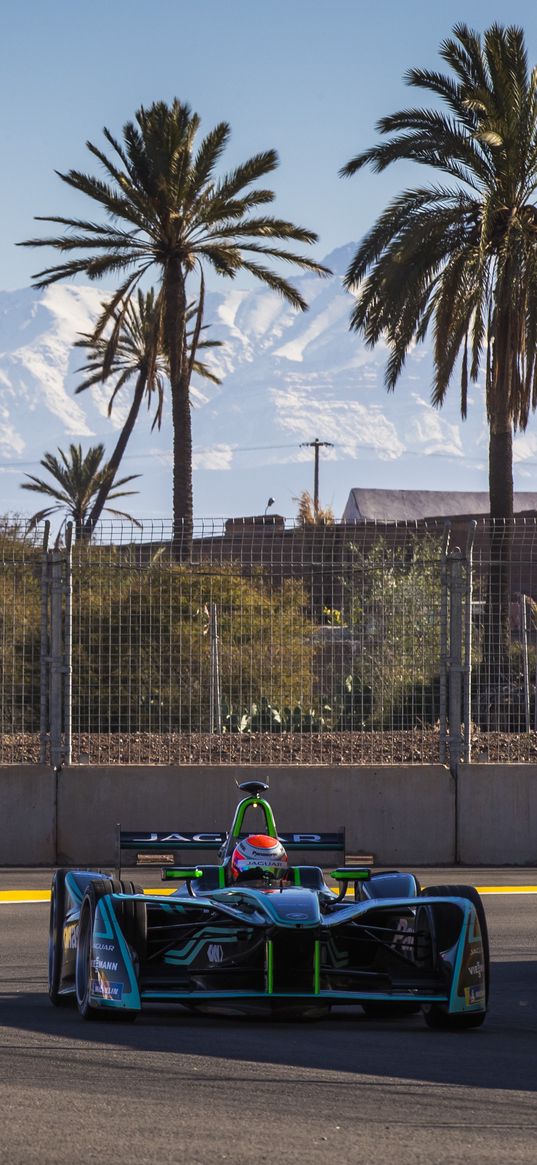 formula 1, car, track, racing, asphalt, racer, trees, palm trees, fence