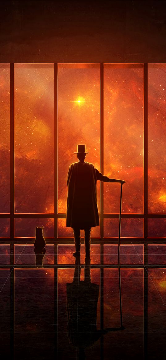 observatory, observer, starry sky, space, sparkling, reflection, man, hat, cloak, cane, cat