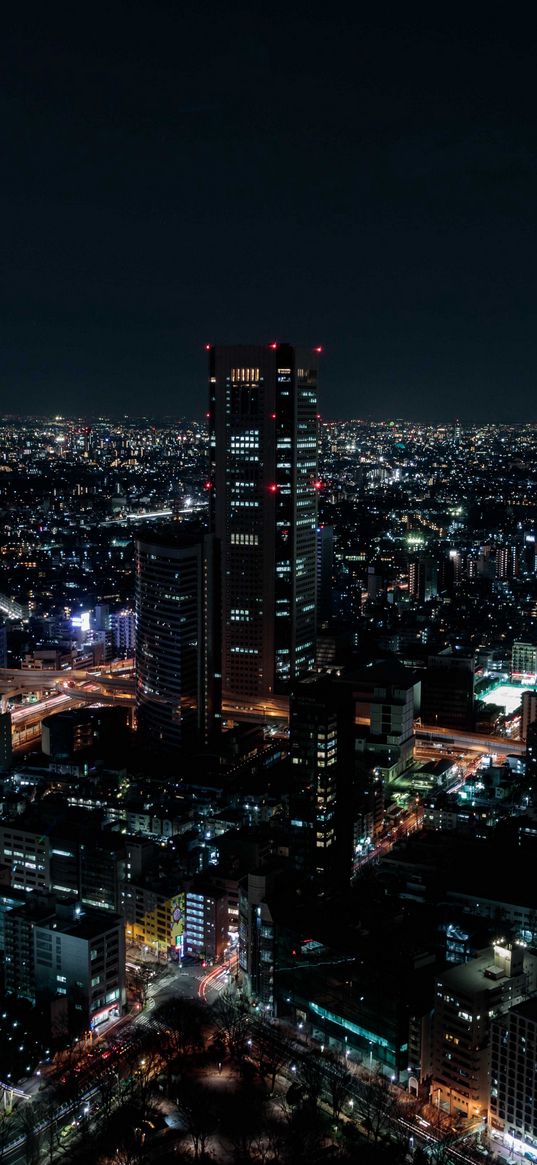 night city, aerial view, city lights, overview, skyline, night