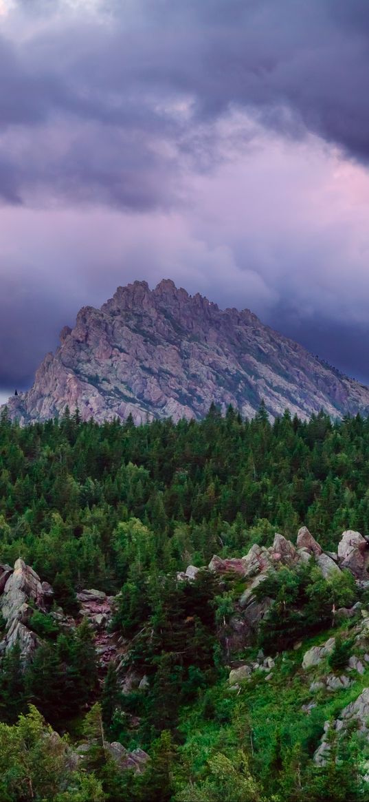 mountains, trees, taganay, national park, urals, russia