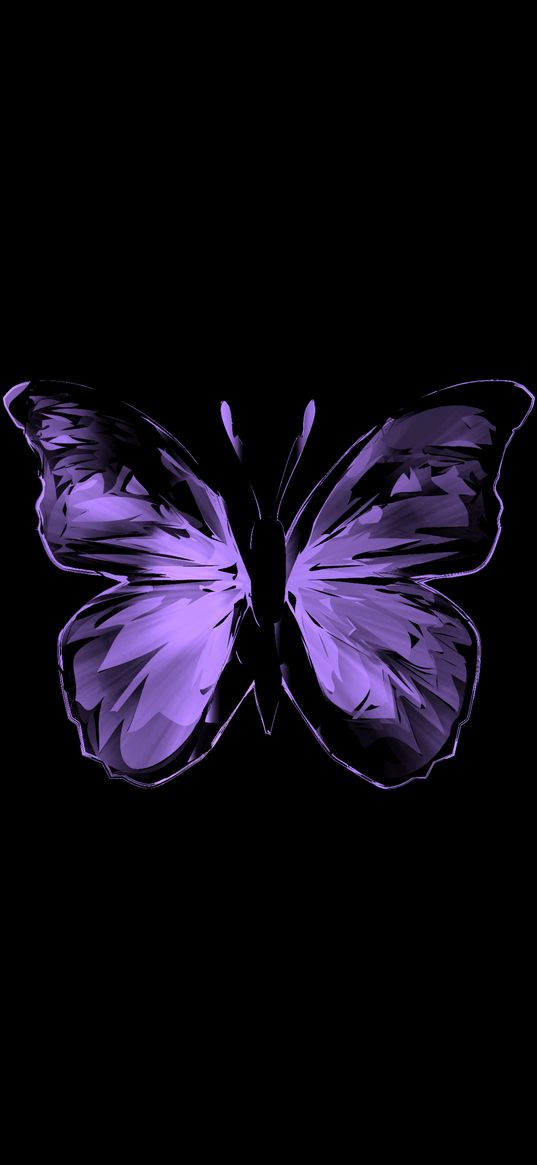 butterfly, purple, art, wings, insect