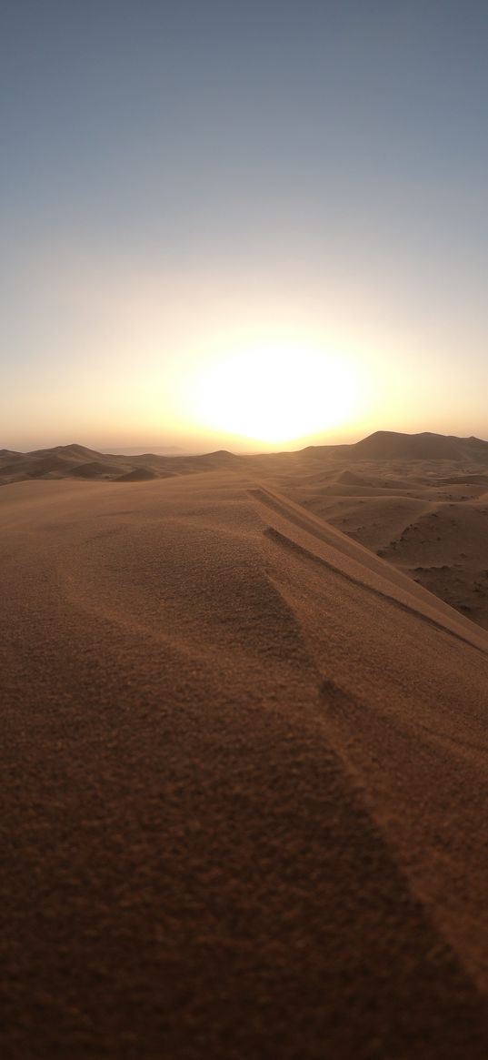 desert, dunes, sand, sunset, wildlife