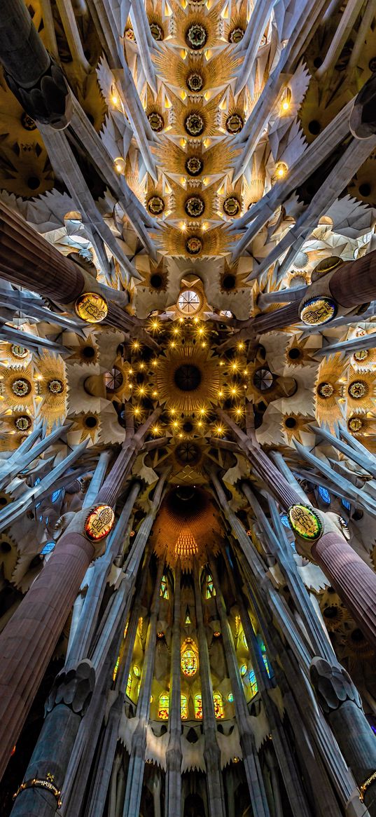 architecture, interior, modern, ceiling, columns, sagrada familia, barcelona