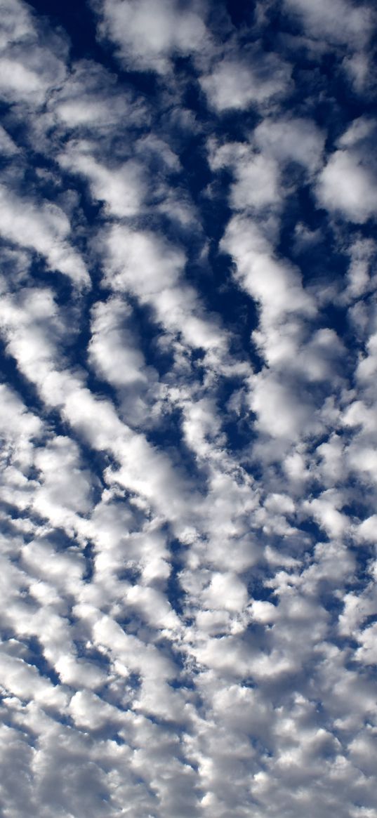 sky, clouds, curly, white, summer