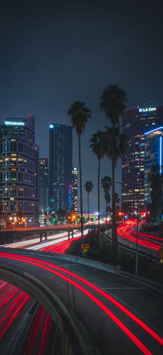 night city, roads, city lights, traffic, palm trees