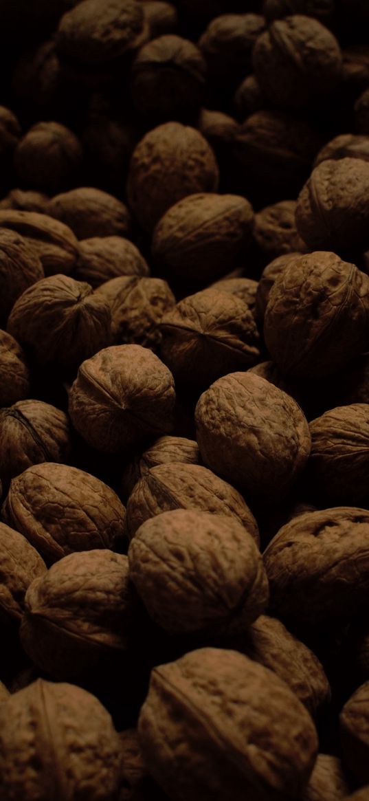 walnuts, dark, many, nuts, harvest