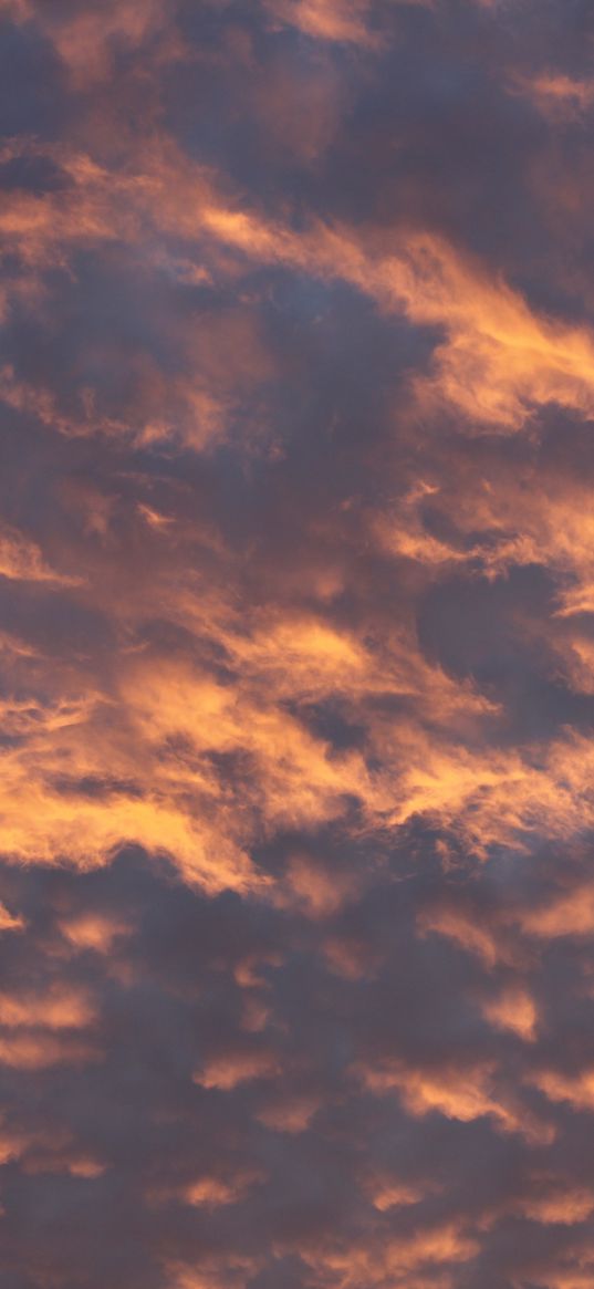 sky, clouds, evening, pink, yellow, atmospheric