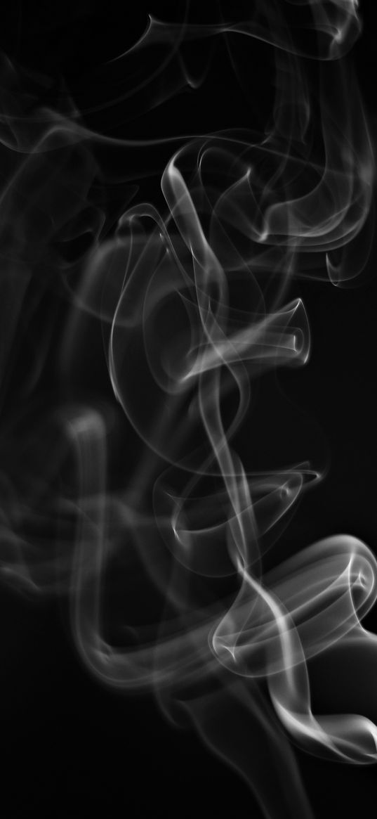 smoke, white, wriggling, black background, abstract