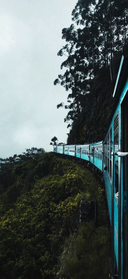 train, wagons, movement, trees