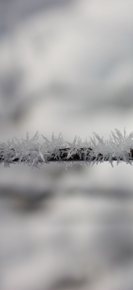 wire, hoarfrost, frost, crystals, metallic, freeze, macro