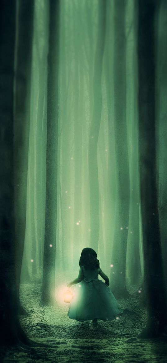 child, forest, fog, night, fabulous, lantern, walk